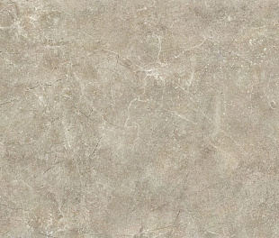 Керамогранит NTT9021 60 x 60 Лаппатированный