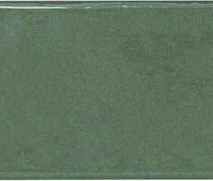 Плитка из керамогранита APE Contemporary 6x26 зеленый (MPL-060202)