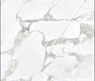 CALACATTA 513  160Х320 c1