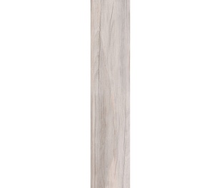 Плитка напольная DOLPHIN MOON  AGED RETT. 20X120