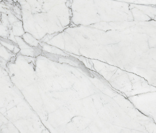 Marble Trend Керамогранит K-1000/LR/60x60x10/S1 Carrara