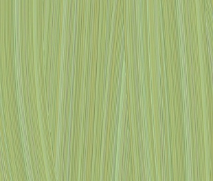 Плитка из керамогранита Kerama Marazzi Салерно 40.2x40.2 зеленый (SG152100N)